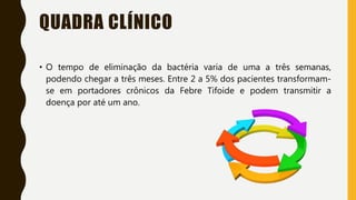 QUADRA CLÍNICO
• O tempo de eliminação da bactéria varia de uma a três semanas,
podendo chegar a três meses. Entre 2 a 5% dos pacientes transformam-
se em portadores crônicos da Febre Tifoide e podem transmitir a
doença por até um ano.
 