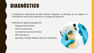 DIAGNÓSTICO
• O diagnóstico laboratorial da febre tifoide é baseado na detecção de um agente no
biomaterial e anticorpos específicos no sangue do paciente.
• Detecção de agentes patogénicos:
Sangue (hemocultura)
Urina (urinocultura),
Excrementos (cultura de fezes)
Bílis (bilicultura)
Aspirado / Punção Medular (técnica mais eficaz).
 