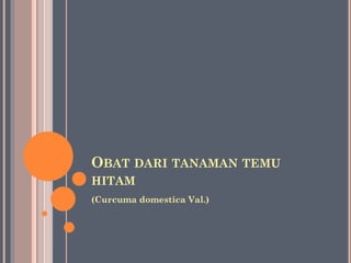 OBAT DARI TANAMAN TEMU
HITAM
(Curcuma domestica Val.)
 