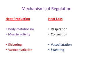 Mechanisms of Regulation
Heat Production
• Body metabolism
• Muscle activity
• Shivering
• Vasoconstriction
Heat Loss
• Respiration
• Convection
• Vasodilatation
• Sweating
 