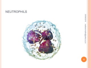 NEUTROPHILS
03/06/2019
8
mathewvmaths@yahoo.co.in
 