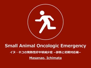 Small Animal Oncologic Emergency
Masanao. Ichimata
イヌ・ネコの発熱性好中球減少症 ­診断と初期対応編­
 