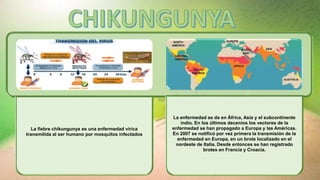 La fiebre chikungunya es una enfermedad vírica
transmitida al ser humano por mosquitos infectados
La enfermedad se da en África, Asia y el subcontinente
indio. En los últimos decenios los vectores de la
enfermedad se han propagado a Europa y las Américas.
En 2007 se notificó por vez primera la transmisión de la
enfermedad en Europa, en un brote localizado en el
nordeste de Italia. Desde entonces se han registrado
brotes en Francia y Croacia.
 