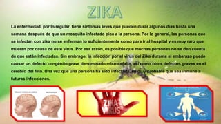 La enfermedad, por lo regular, tiene síntomas leves que pueden durar algunos días hasta una
semana después de que un mosquito infectado pica a la persona. Por lo general, las personas que
se infectan con zika no se enferman lo suficientemente como para ir al hospital y es muy raro que
mueran por causa de este virus. Por esa razón, es posible que muchas personas no se den cuenta
de que están infectadas. Sin embrago, la infección por el virus del Zika durante el embarazo puede
causar un defecto congénito grave denominado microcefalia, así como otros defectos graves en el
cerebro del feto. Una vez que una persona ha sido infectada, es muy probable que sea inmune a
futuras infecciones.
 
