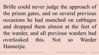 Brille could never judge the approach of
the prison gates, and on several previous
occasions he had munched on cabbages
and dropped them almost at the feet of
the warder, and all previous warders had
overlooked this. Not so Warder
Hannetjie.
 