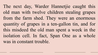 The next day, Warder Hannetjie caught this
old man with twelve children stealing grapes
from the farm shed. They were an enormous
quantity of grapes in a ten-gallon tin, and for
this misdeed the old man spent a week in the
isolation cell. In fact, Span One as a whole
was in constant trouble.
 