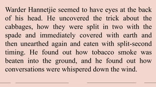 Warder Hannetjie seemed to have eyes at the back
of his head. He uncovered the trick about the
cabbages, how they were split in two with the
spade and immediately covered with earth and
then unearthed again and eaten with split-second
timing. He found out how tobacco smoke was
beaten into the ground, and he found out how
conversations were whispered down the wind.
 