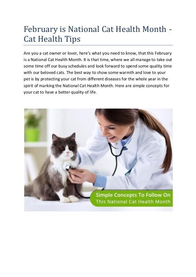 February is National Cat Health Month Cat Health Tips