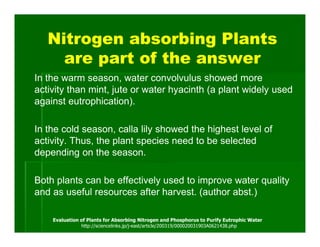 Nitrogen absorbing Plants
     are part of the answer
In the warm season, water convolvulus showed more
activity than mint, jute or water hyacinth (a plant widely used
against eutrophication).

In the cold season, calla lily showed the highest level of
activity. Thus, the plant species need to be selected
depending on the season.

Both plants can be effectively used to improve water quality
and as useful resources after harvest. (author abst.)

    Evaluation of Plants for Absorbing Nitrogen and Phosphorus to Purify Eutrophic Water
               http://sciencelinks.jp/j-east/article/200319/000020031903A0621438.php
 