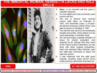 THE IMMORTAL WOMAN: HENRIETTA LACKS AND HeLa
CELLS
31st JAN 2021/HISTORY
WIKI
1. HeLa is an immortal cell line used in
scientific research.
2. It is the oldest and most commonly used
human cell line.
3. The line is derived from cervical
cancer cells taken on February 8,
1951, from Henrietta Lacks, a 31-year-
old African-American mother of five, who
died of cancer on October 4, 1951.
4. The cell line was found to be remarkably
durable and prolific, which allows it to be
used extensively in scientific study
5. Her cervical biopsy supplied samples of
tissue for clinical evaluation and
research by Dr. George Otto Gey, head
of the Tissue Culture Laboratory, as was
done with other surgical procedures.
Gey's lab assistant Mary Kubicek used
the roller-tube technique to place the
cells into culture.
6. It was observed that the cells grew
robustly, doubling every 20–24 hours
unlike previous specimens that died out.
 
