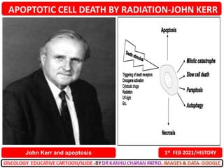 APOPTOTIC CELL DEATH BY RADIATION-JOHN KERR
1st FEB 2021/HISTORY
John Kerr and apoptosis
 