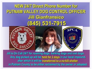 Jill is On Call 24/7 for roaming dogs, barking dogs and lost dogs.Jill is On Call 24/7 for roaming dogs, barking dogs and lost dogs.
Any dog picked up will beAny dog picked up will be held for 3 daysheld for 3 days in our local impound,in our local impound,
after which it will beafter which it will be transferred to a no-kill sheltertransferred to a no-kill shelter
in Putnam County to be either reclaimed by the owner or adopted.in Putnam County to be either reclaimed by the owner or adopted.
NEW 24/7 Direct Phone Number forNEW 24/7 Direct Phone Number for
PUTNAM VALLEY DOG CONTROL OFFICERPUTNAM VALLEY DOG CONTROL OFFICER
Jill GianfransicoJill Gianfransico
(845) 531-7915(845) 531-7915
 