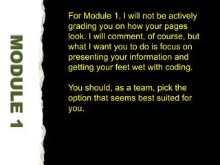 For Module 1, I will not be actively grading you on how your pages look. I will comment, of course, but what I want you to do is focus on presenting your information and getting your feet wet with coding.You should, as a team, pick the option that seems best suited for you. MODULE 1