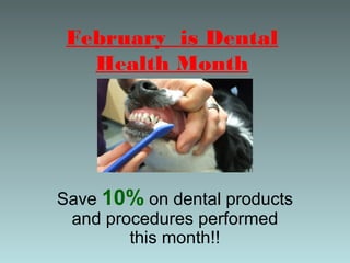 February is Dental
Health Month

Save 10% on dental products
and procedures performed
this month!!

 