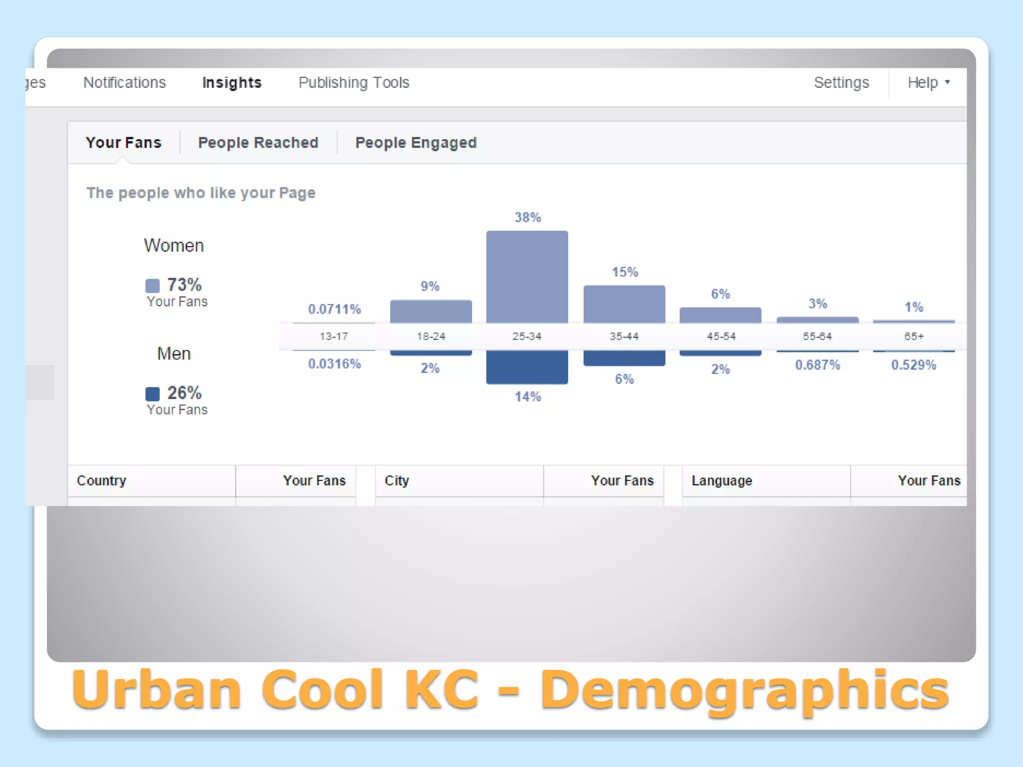 Urban Cool KC - Demographics
 
