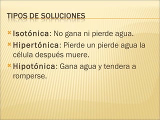 Isotónica : No gana ni pierde agua. Hipertónica : Pierde un pierde agua la célula después muere. Hipotónica : Gana agua y tendera a romperse. 