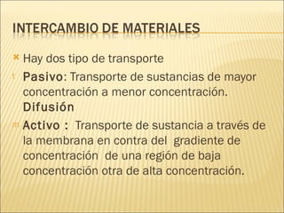 Hay dos tipo de transporte Pasivo : Transporte de sustancias de mayor concentración a menor concentración.  Difusión  Activo :   Transporte de sustancia a través de la membrana en contra del  gradiente de concentración  de una región de baja concentración otra de alta concentración. 
