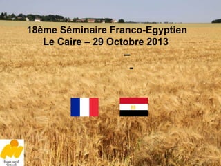 18ème Séminaire Franco-Egyptien
Le Caire – 29 Octobre 2013

–
-

1

 