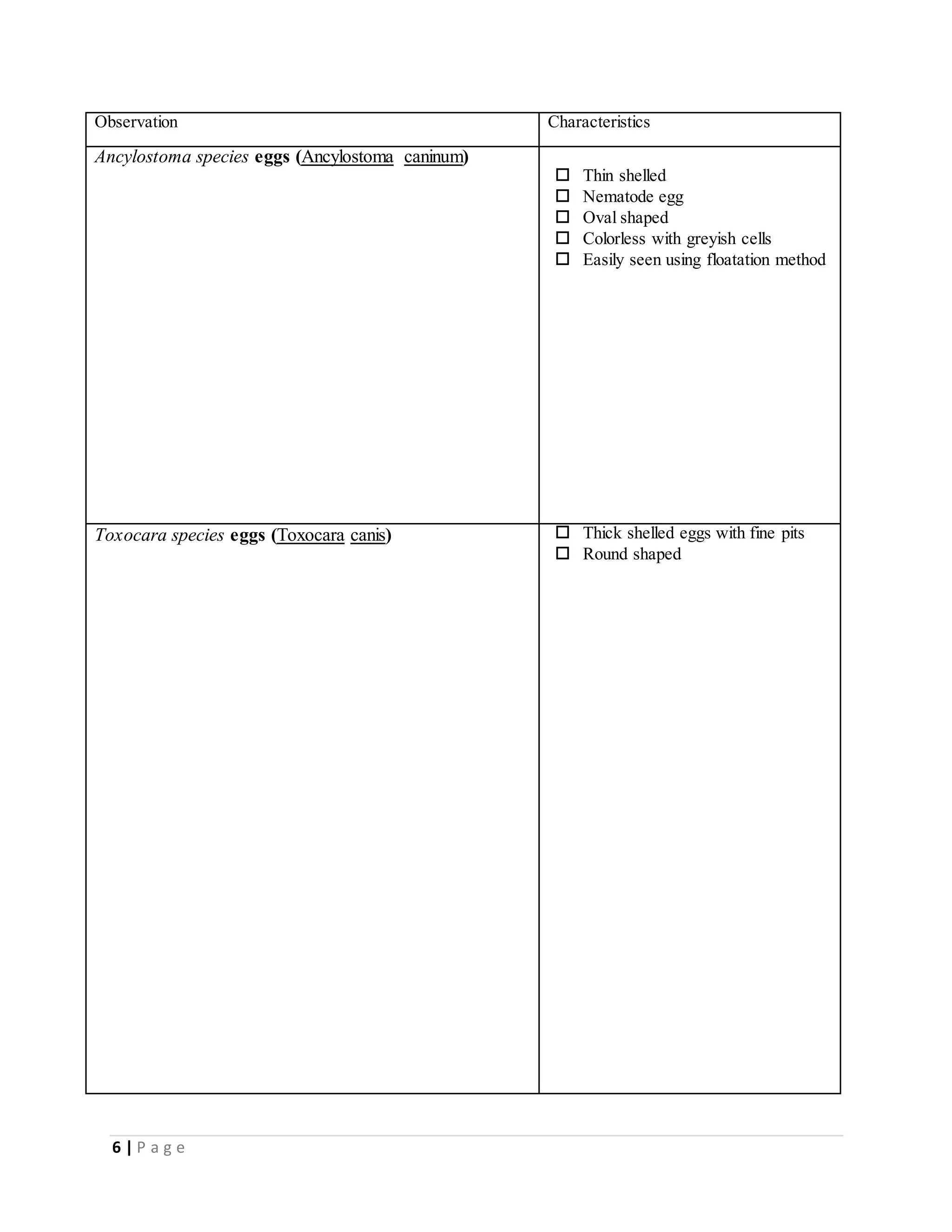 Fecal examination lab report | DOCX