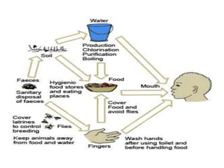 FECAL ORAL DISEASES.pptx