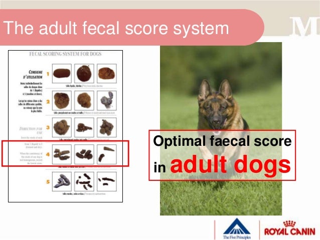 Optimal facebook profile picture size