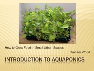 INTRODUCTION TO AQUAPONICS
How to Grow Food in Small Urban Spaces
Graham Wood
 