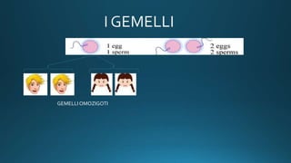 GEMELLI OMOZIGOTI
 