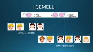 GEMELLI ETEROZIGOTI
GEMELLI OMOZIGOTI
 