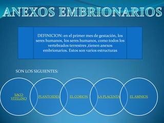 DEFINICION: en el primer mes de gestación, los
seres humanos, los seres humanos, como todos los
vertebrados terrestres ,tienen anexos
embrionarios. Estos son varios estructuras

SON LOS SIGUIENTES:

SACO
VITELINO

PLANTOIDES

EL CORION

LA PLACENTA

EL AMNIOS

 