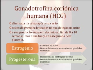 Gonadotrofina coriónica
humana (HCG)
0 eliminada na urina após a sua ação
0 testes de gravidez baseados na sua deteção na urina
0 a sua produção entra em declínio ao fim de 8 a 10
semanas, mas a sua função é assegurada pela
placenta.
• Expansão do útero
• Desenvolvimento e maturação das glândulas
mamárias
Estrogénio
• Inexistência de contrações uterinas
• Desenvolvimento e maturação das glândulas
mamárias
Progesterona
12ºano 10
 