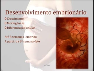 Desenvolvimento embrionário
0 Crescimento
0 Morfogénese
0 Diferenciação celular
Até 8 semanas -embrião
A partir da 8ª semana-feto
12ºano 11
 