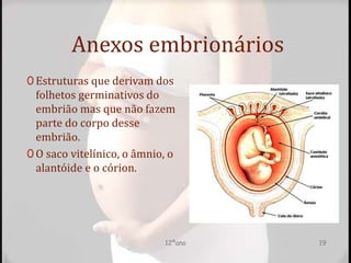 Anexos embrionários
0 Estruturas que derivam dos
folhetos germinativos do
embrião mas que não fazem
parte do corpo desse
embrião.
0 O saco vitelínico, o âmnio, o
alantóide e o córion.
12ºano 19
 