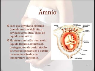 Âmnio
0 Saco que envolve o embrião
(membrana que delimita a
cavidade amniótica, cheia de
líquido amniótico).
0 Mantém o embrião num meio
líquido (líquido amniótico),
protegendo-o da desidratação,
de choques mecânicos e auxilia
na manutenção de uma
temperatura constante.
12ºano 21
 