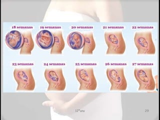 12ºano 29
 