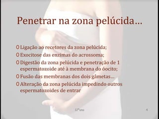 Penetrar na zona pelúcida…
0 Ligação ao recetores da zona pelúcida;
0 Exocitose das enzimas do acrossoma;
0 Digestão da zona pelúcida e penetração de 1
espermatozoide até à membrana do óocito;
0 Fusão das membranas dos dois gâmetas…
0 Alteração da zona pelúcida impedindo outros
espermatozoides de entrar
12ºano 4
 