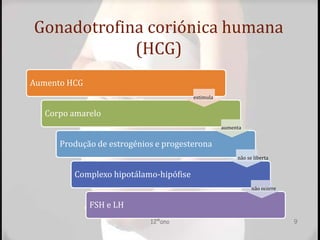 Gonadotrofina coriónica humana
(HCG)
Aumento HCG
Corpo amarelo
Produção de estrogénios e progesterona
Complexo hipotálamo-hipófise
FSH e LH
estimula
aumenta
não se liberta
não ocorre
12ºano 9
 