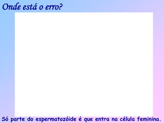 Onde está o erro?
Só parte do espermatozóide é que entra na célula feminina.
 