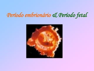 Período embrionário & Período fetal
 
