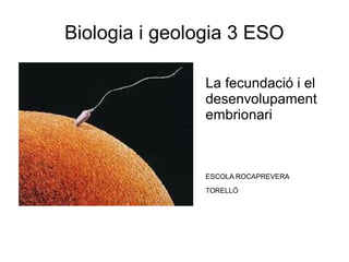 Biologia i geologia 3 ESO 
La fecundació i el 
desenvolupament 
embrionari 
ESCOLA ROCAPREVERA 
TORELLÓ 
 
