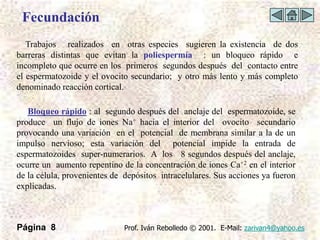 Fecundación
   Trabajos realizados en otras especies sugieren la existencia de dos
barreras distintas que evitan la poliespermía : un bloqueo rápido e
incompleto que ocurre en los primeros segundos después del contacto entre
el espermatozoide y el ovocito secundario; y otro más lento y más completo
denominado reacción cortical.

   Bloqueo rápido : al segundo después del anclaje del espermatozoide, se
produce un flujo de iones Na+ hacia el interior del ovocito secundario
provocando una variación en el potencial de membrana similar a la de un
impulso nervioso; esta variación del potencial impide la entrada de
espermatozoides super-numerarios. A los 8 segundos después del anclaje,
ocurre un aumento repentino de la concentración de iones Ca+2 en el interior
de la célula, provenientes de depósitos intracelulares. Sus acciones ya fueron
explicadas.



Página 8                      Prof. Iván Rebolledo © 2001. E-Mail: zarivan4@yahoo.es
 