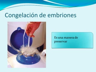 Congelación de embriones
Es una manerade
preservar
 