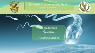 Fisiología Médica
Fonseca Quiroz Kathya IV-5
Universidad Autónoma de Sinaloa
Facultad de Medicina
Reproducción
- Fecundación –
Fisiología Médica
 
