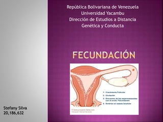 República Bolivariana de Venezuela
Universidad Yacambu
Dirección de Estudios a Distancia
Genética y Conducta
Stefany Silva
20,186,632
 
