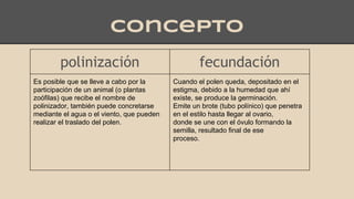 concepto
polinización fecundación
Es posible que se lleve a cabo por la
participación de un animal (o plantas
zoófilas) que recibe el nombre de
polinizador, también puede concretarse
mediante el agua o el viento, que pueden
realizar el traslado del polen.
Cuando el polen queda, depositado en el
estigma, debido a la humedad que ahí
existe, se produce la germinación.
Emite un brote (tubo polínico) que penetra
en el estilo hasta llegar al ovario,
donde se une con el óvulo formando la
semilla, resultado final de ese
proceso.
 