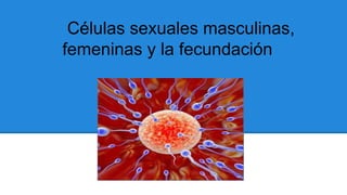 Células sexuales masculinas,
femeninas y la fecundación
 