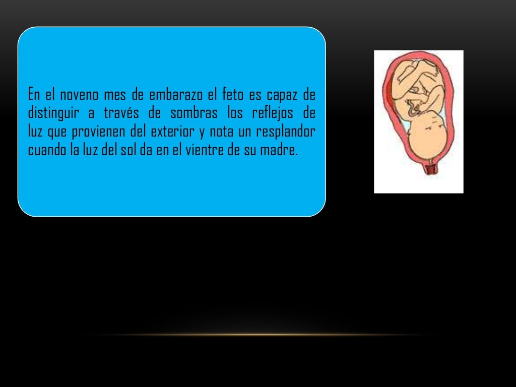 Fecundación del ser humano y su desarrollo en el vientre materno