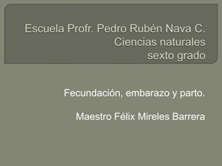 Escuela Profr. Pedro Rubén Nava C.Ciencias naturalessexto grado Fecundación, embarazo y parto. Maestro Félix Mireles Barrera 