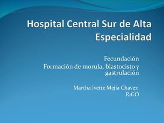 Fecundación Formación de morula, blastocisto y gastrulación Martha Ivette Mejia Chavez  R1GO 