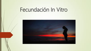 Fecundación In Vitro
 