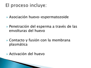 Asociación huevo-espermatozoide
 Penetración del esperma a través de las
envolturas del huevo
 Contacto y fusión con la membrana
plasmática
 Activación del huevo
 